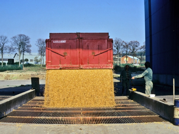 Premier chiffrage du coût de la logistique des grains bio