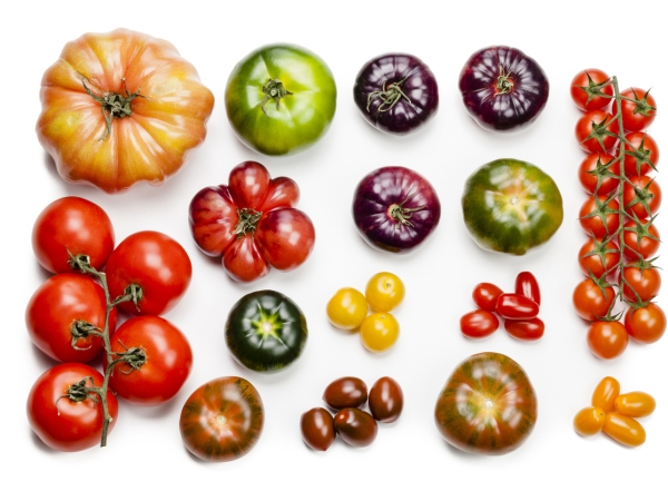 La tomate manque à l’appel et se négocie à des prix exorbitants