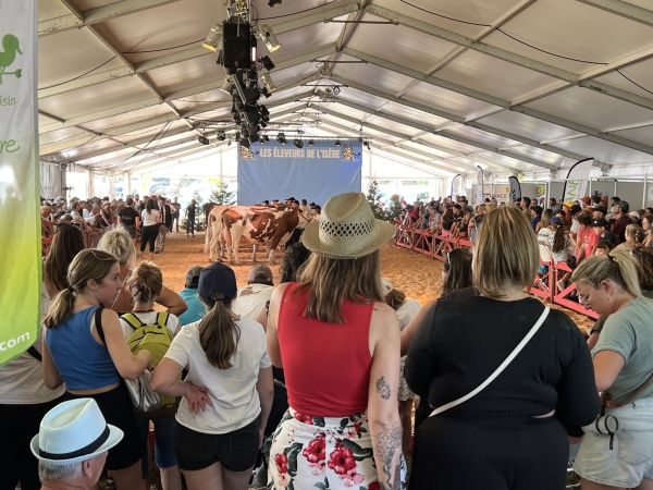 Beaux animaux et belle ambiance au Concours départemental d'élevage de Lans-en-Vercors