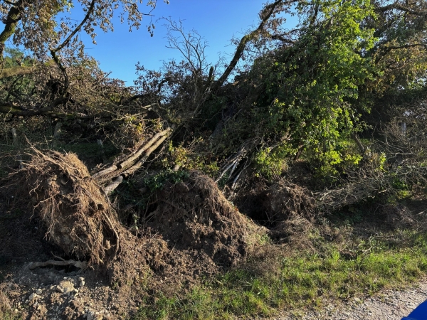 Dans le nord-Isère, l'orage du 13 août a causé de lourds dégâts