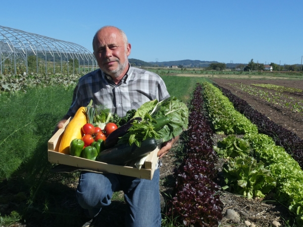 De beaux légumes au programme de « Manger bio et local, c’est l’idéal »