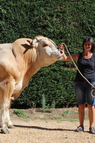 « Le contrat : c’est une véritable sécurité »