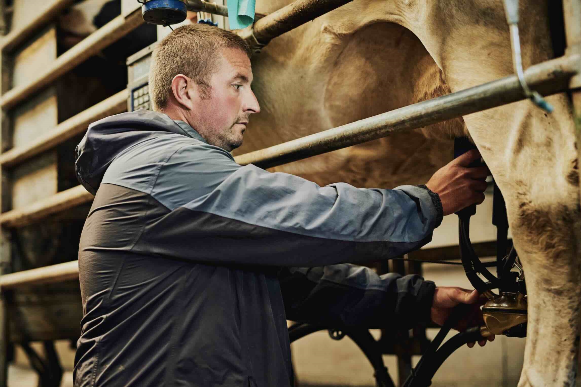 Le prix des 1 000 litres de lait supérieur à 500 €