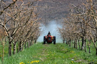 Le Conseil d'Etat exige un durcissement dans les zones Natura 2000 