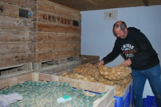 Les grandes surfaces du département de l'Isère recherchent des légumes locaux