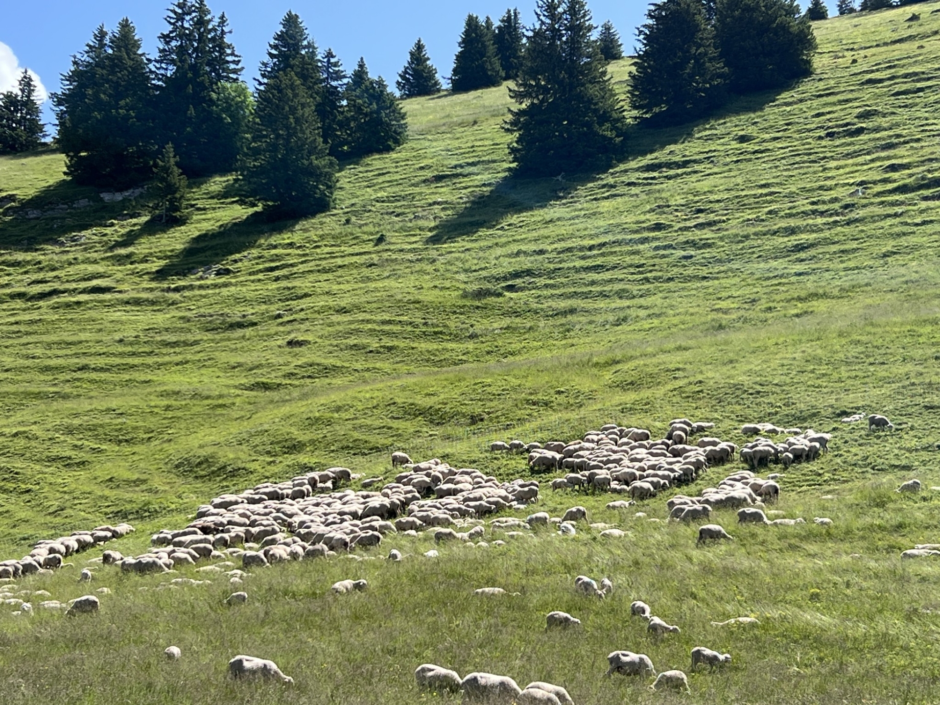 Accompagnement au changement climatique