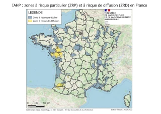 Influenza aviaire : élévation du niveau de risque