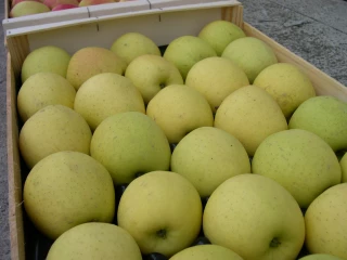 Premier bilan de récolte de la production iséroise 2022