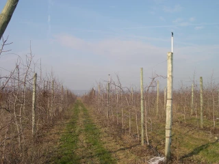 Une journée sur les fruits bio le 3 mars