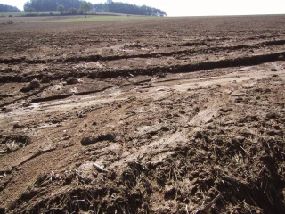 Réforme de l'assurance climatiques : un projet de loi a minima