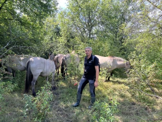 Une pompe solaire pour les chevaux 