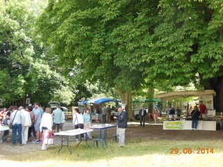 Un nouveau verger pour la fête de la pomme de pain 