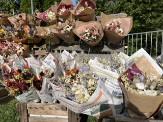 Fleurs coupées : une production à relocaliser