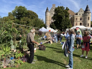 Les plantes à leur comble 