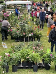 Les plantes ont leur écrin