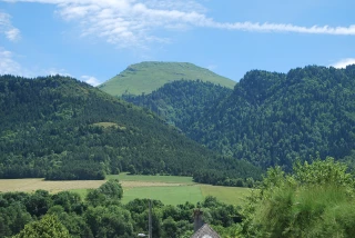 « Renouveler et diversifier les forêts »