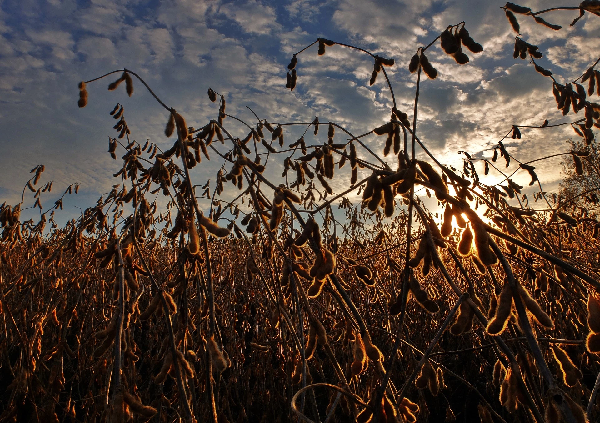 Un trait d’union entre production et consommation