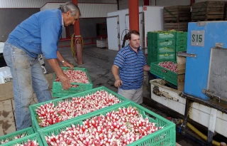 L’Isère veut se doter d'une vitrine de l'emploi agricole et rural