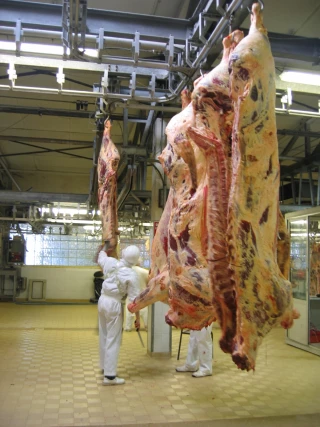 Denormandie réorganise les contrôles dans les abattoirs