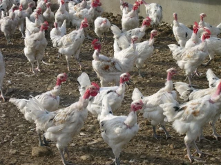 Levée de la zone de contrôle temporaire