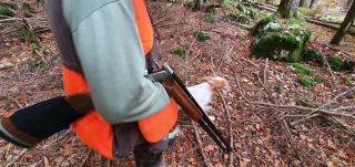 Ouverture générale de la chasse le 11 septembre