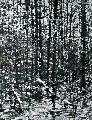 Retour dans les arbres