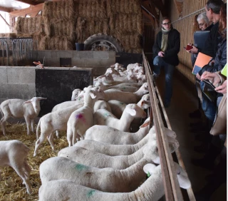 Le nombre de nouveaux installés chute de 6,7% en 2020