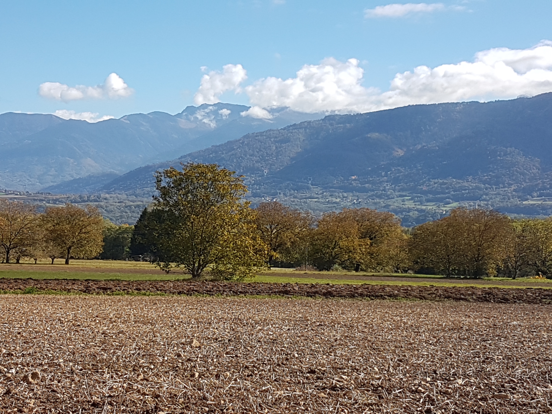 La consommation de foncier agricole en Isère repart à la hausse