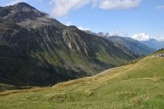 " Pourquoi les sommets des Alpes verdissent depuis au moins 30 ans ? "