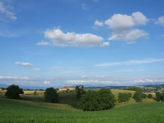 Une pousse de l’herbe dans la norme 