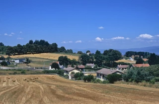 14% du portefeuille agricole français de BPCE est "durable"