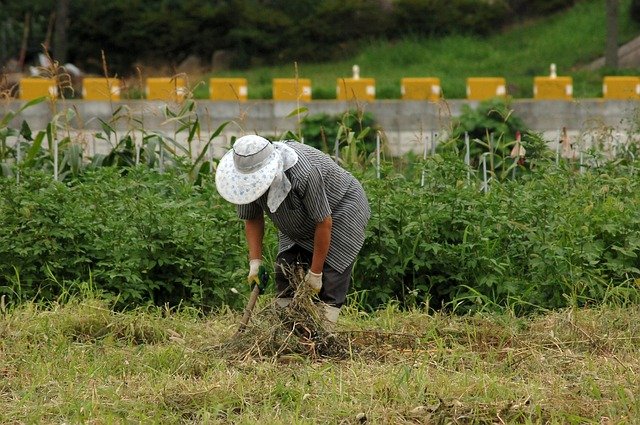 Salariés agricoles : la garantie Visale s’élargit aux plus de 30 ans