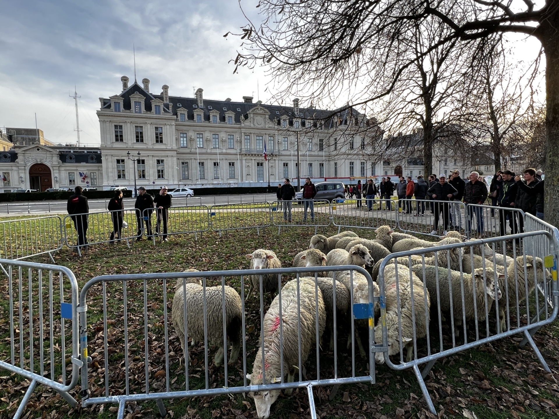 Des moutons pour dénoncer l'exclusion
