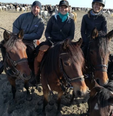 Un cheval tout terrain au SIA