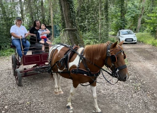 L'équitation pour lâcher prise