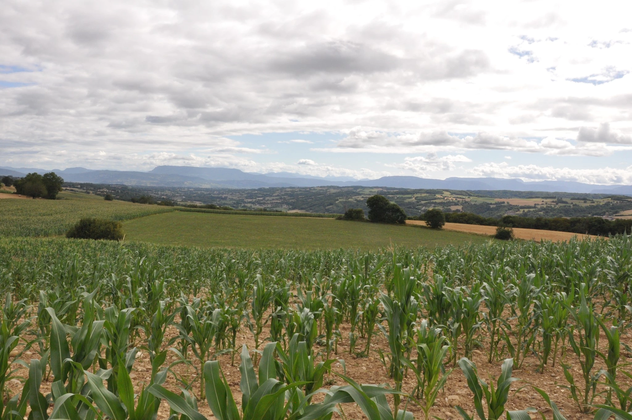 Une exploitation ancrée au territoire