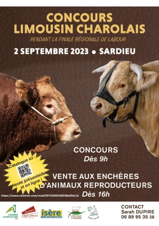 Une vente aux enchères accessible