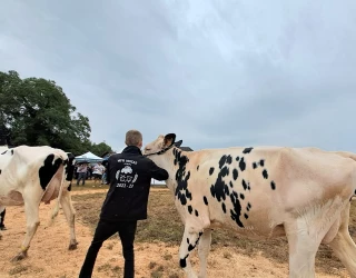 Les jeunes de la MFR de Mozas aux côtés des éleveurs de charolaises