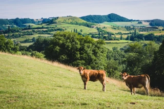 Chronique d’un réchauffement climatique annoncé - le constat du Giec