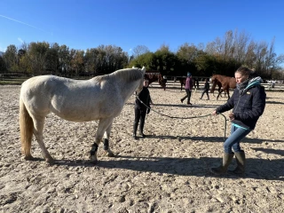 Une pratique ancrée