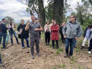 Comme une racine dans l’eau