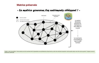 La matrice crée des liens bénéfiques