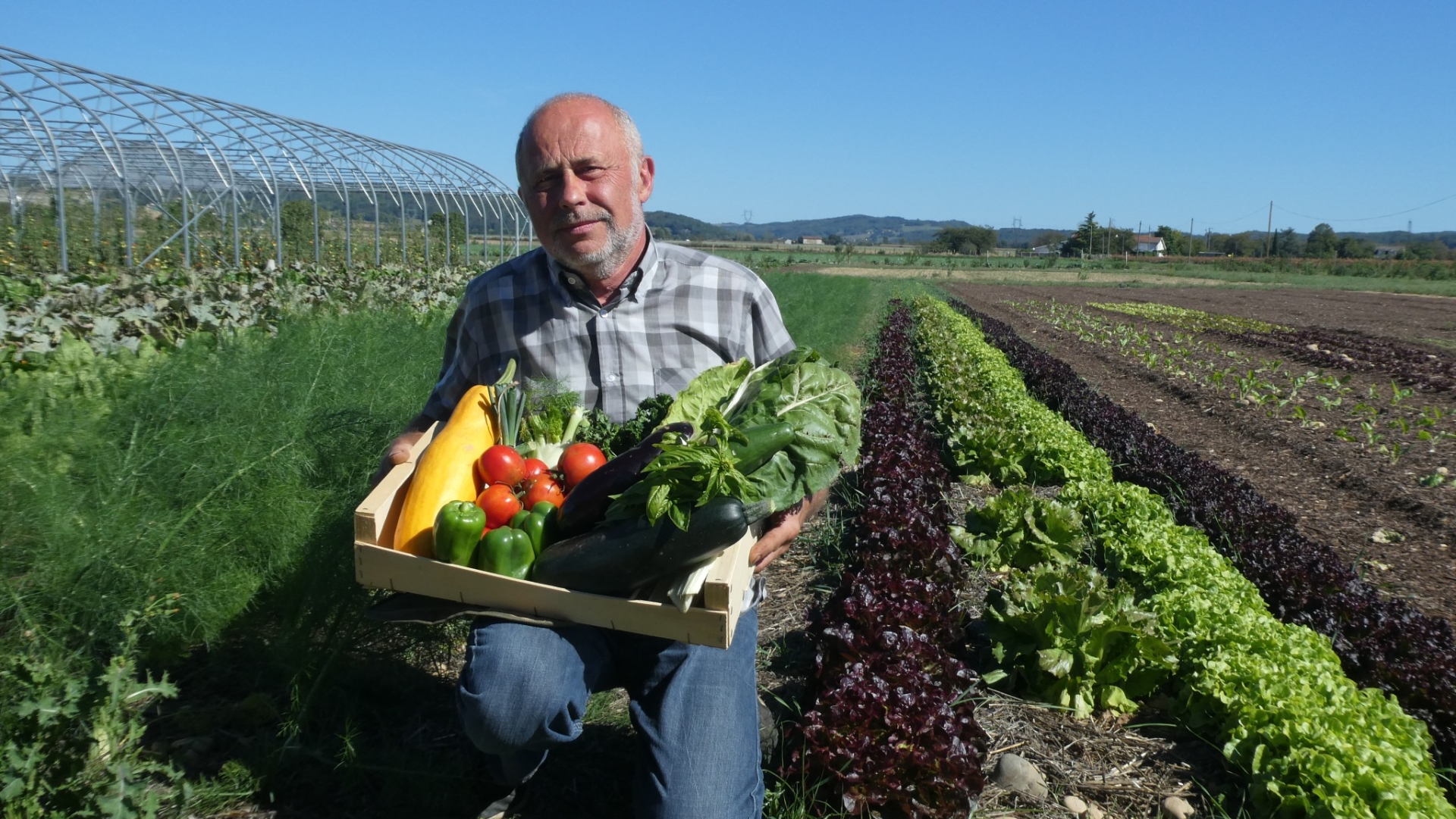 De beaux légumes au programme de « Manger bio et local, c’est l’idéal »